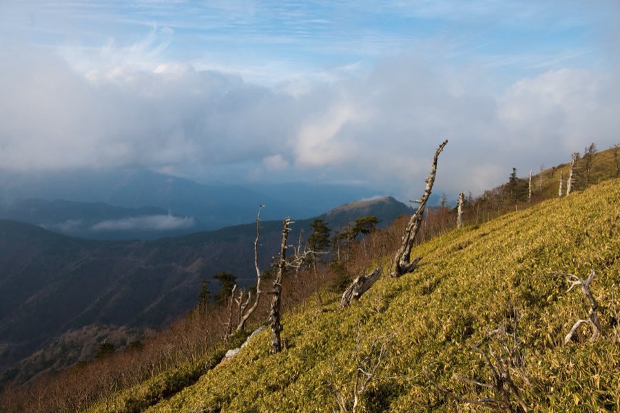 Tokushima, Automne 2015, Japon. Photographie de Jordy Meow, 8/9