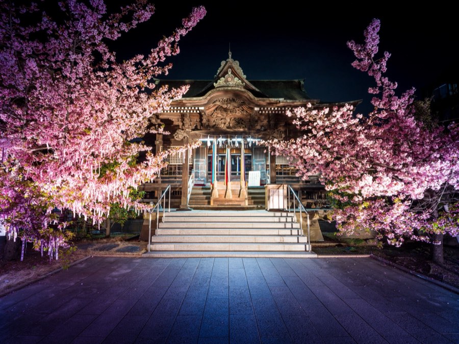 Tokyo, Printemps 2020, Japon. Photographie de Jordy Meow, 7/33