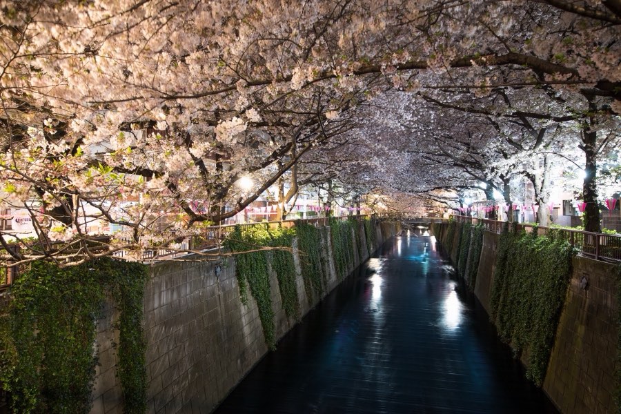 Tokyo, Printemps 2017, Japon. Photographie de Jordy Meow, 24/33
