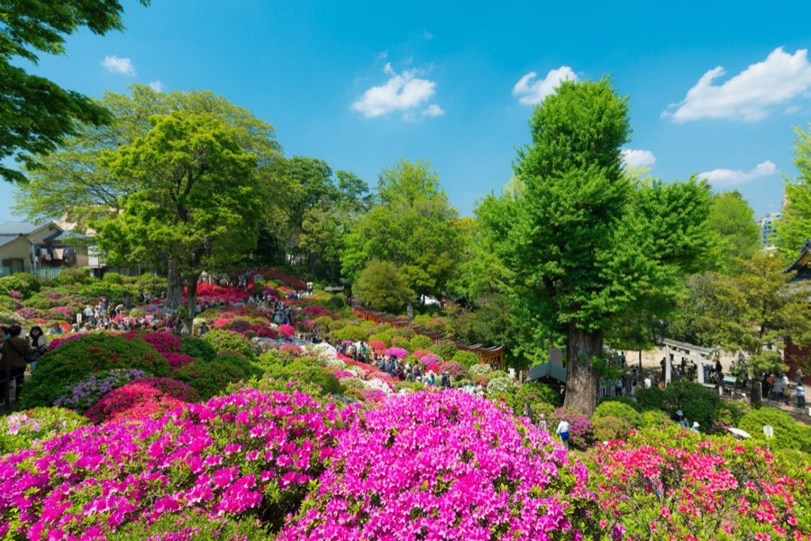 Tokyo, Printemps 2014, Japon. Photographie de Jordy Meow, 32/33