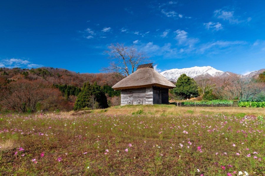 Tottori, Automne 2018, Japon. Photographie de Jordy Meow, 2/5