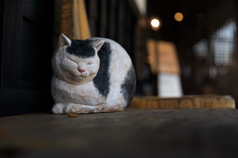 Toyama, Été 2018, Japon. Photographie de Jordy Meow, 91/229