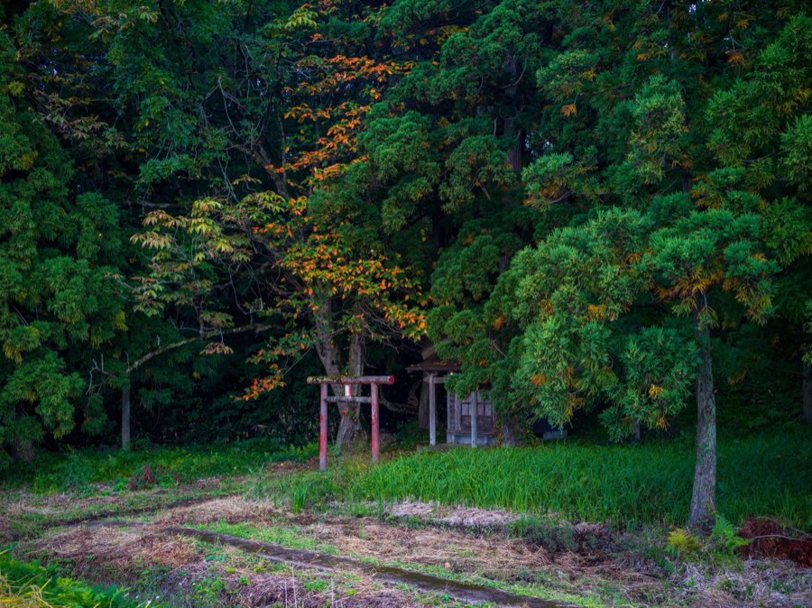 Yamagata, Automne 2020, Japon. Photographie de Jordy Meow, 63/302