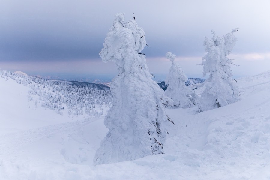 Yamagata, Hiver 2018, Japon. Photographie de Jordy Meow, 51/116