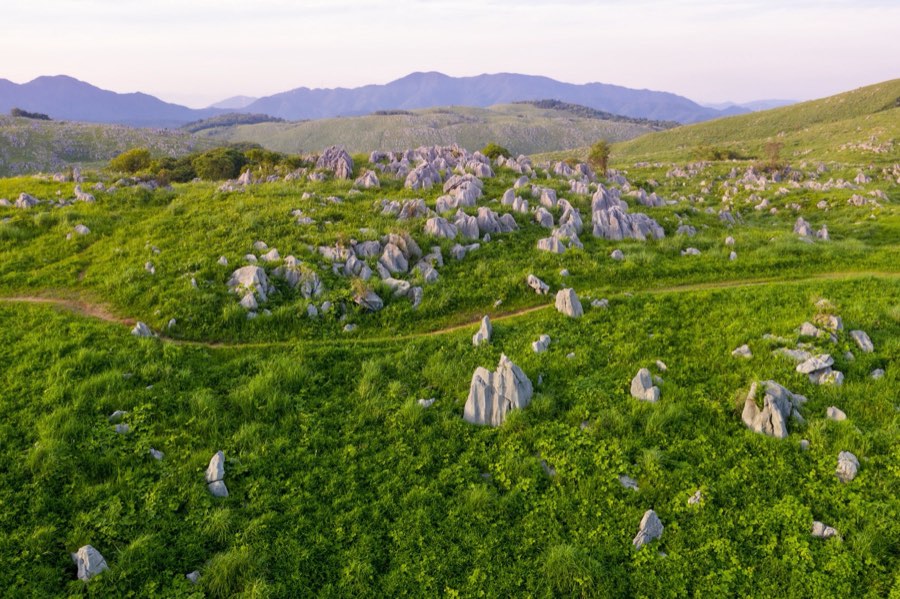 Yamaguchi, Été 2020, Japon. Photographie de Jordy Meow, 7/19