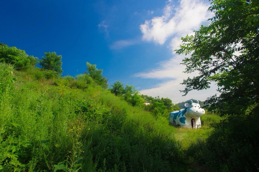 Yamanashi, Été 2013, Japon. Photographie de Jordy Meow, 95/229