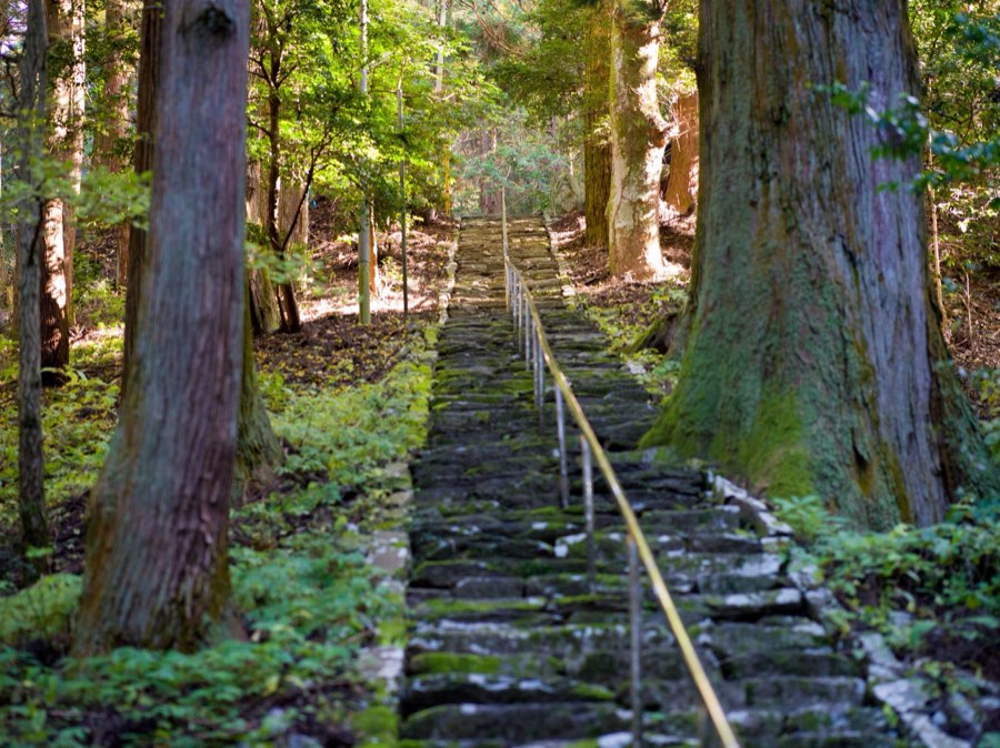 Yamanashi, Automne 2020, Japon. Photographie de Jordy Meow, 147/302