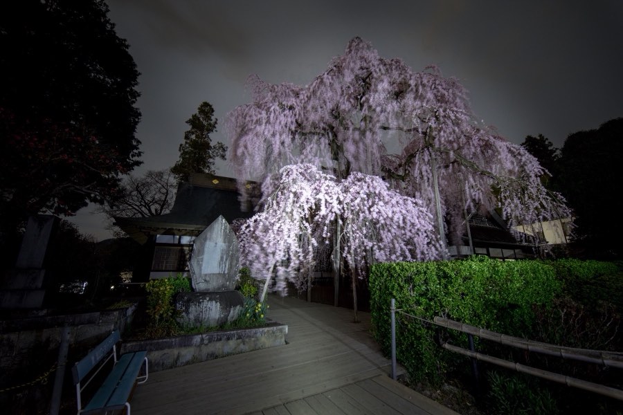 Yamanashi, Printemps 2017, Japon. Photographie de Jordy Meow, 121/289